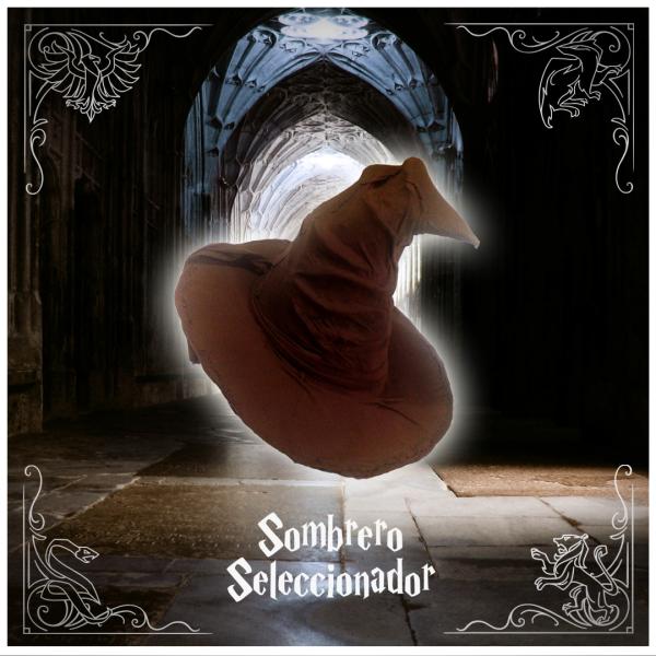 Sombrero Seleccionador Harry Potter